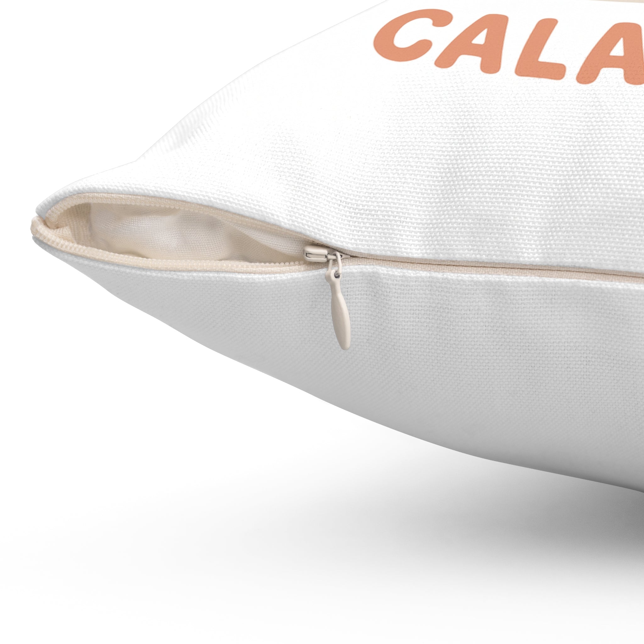 Victimized by a Calathea Decorative Pillow