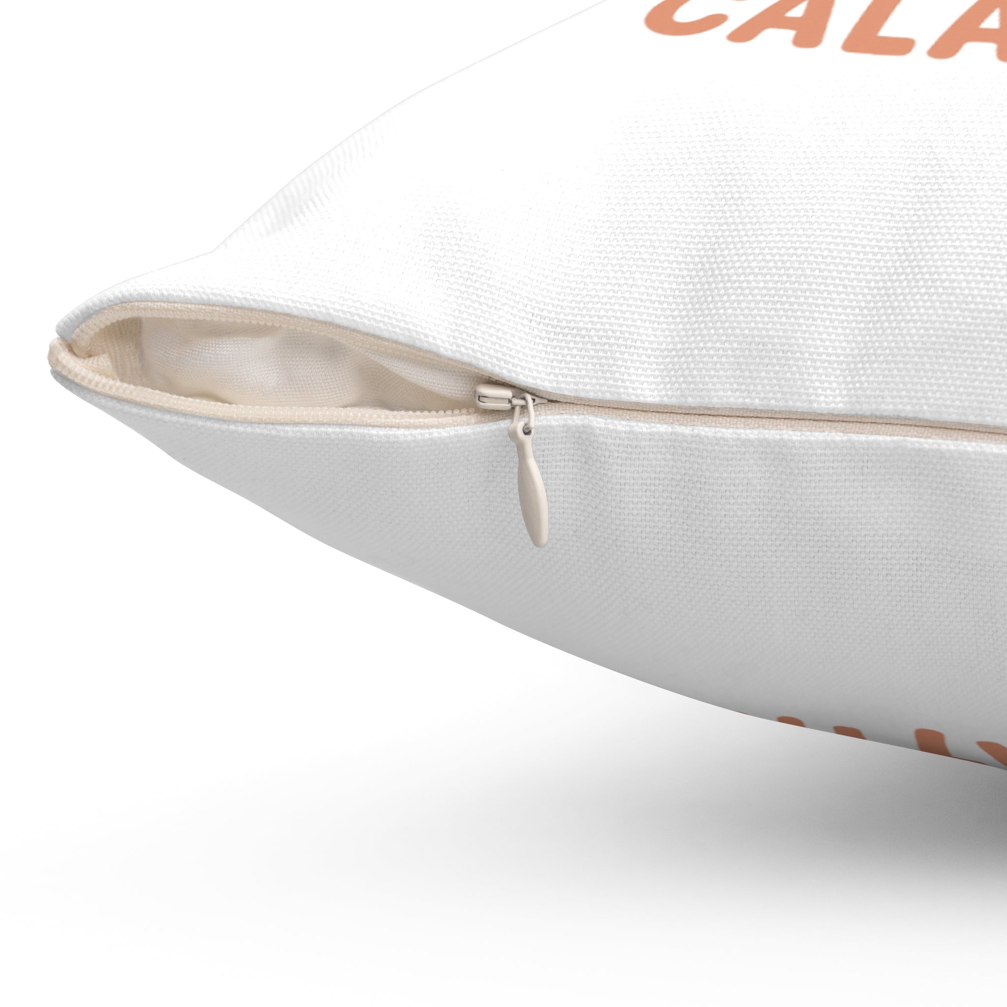 Victimized by a Calathea Decorative Pillow